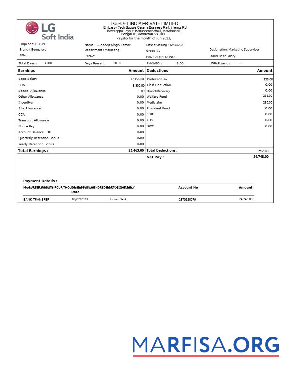 Downloadable LG Soft India payslip real example